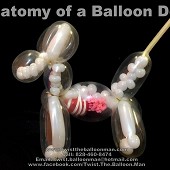 Anatomy of a Balloon Dog